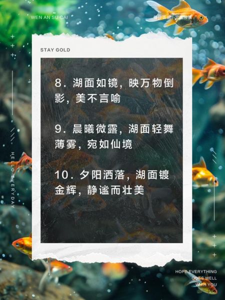 湖面为什么那么美_形容湖面美丽的词语有哪些