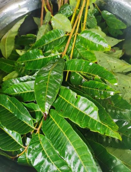 豆瓣酱怎么做_家庭自制豆瓣酱步骤