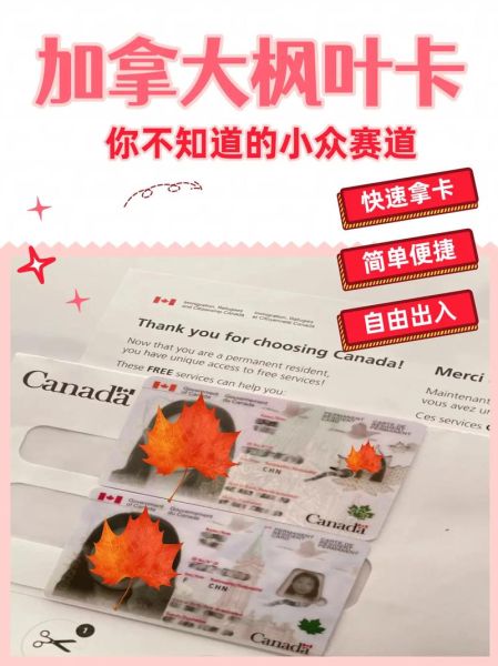加拿大移民新政策2024_如何快速拿到枫叶卡