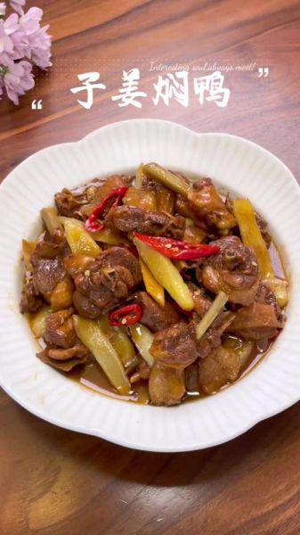 红烧鸭块怎么做好吃_红烧鸭块的家常做法