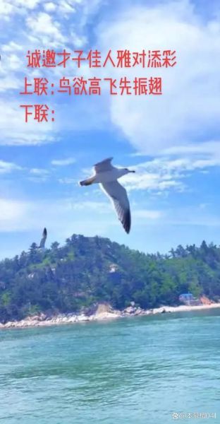 小鸟飞得高不高_小鸟飞得远不远