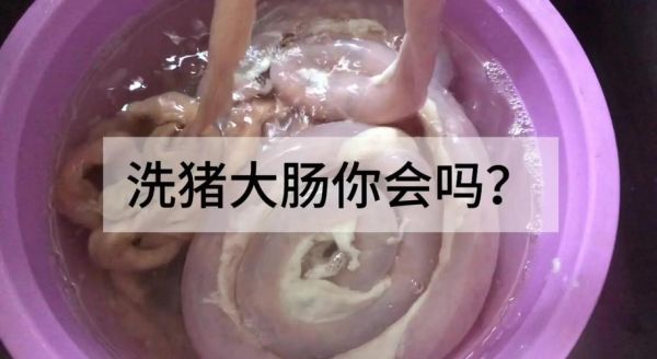 肥肠怎么清洗才干净_肥肠的家常做法步骤