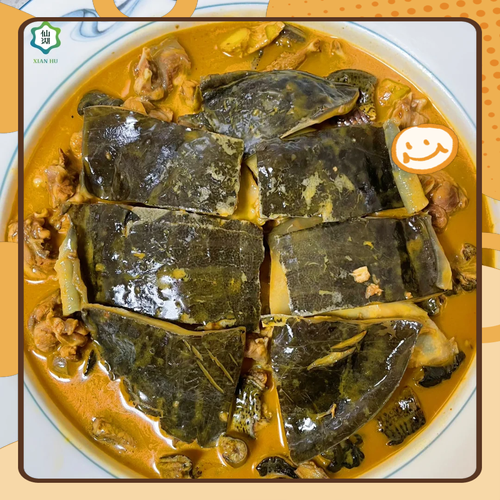 清炖甲鱼汤怎么炖不腥_家常做法步骤详解