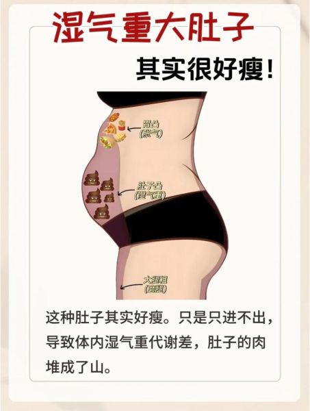 肚腩怎么减_肚腩有什么词语
