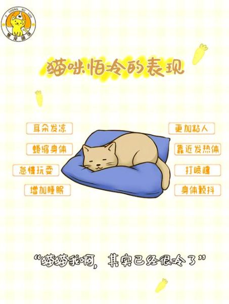 寒风变冷怎么办_冬天保暖技巧