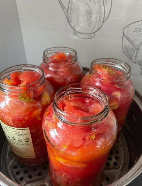 家常西红柿酱怎么做_西红柿酱保存多久