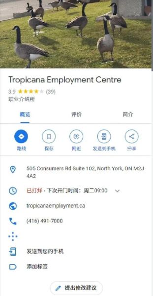 新移民找工作_如何快速找到第一份工作