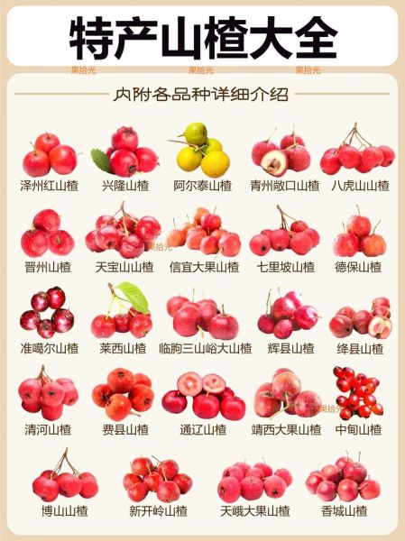 山楂的别名有哪些_山楂别名叫什么