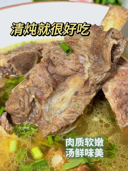 牛排骨怎么炖才烂_家常牛排骨做法大全