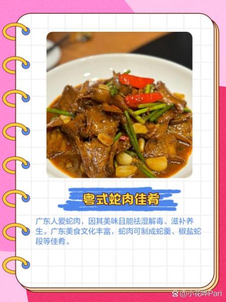 蛇肉怎么做好吃_蛇肉的做法大全