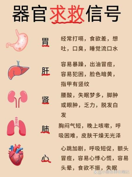 全身脏词语有哪些_如何快速记忆