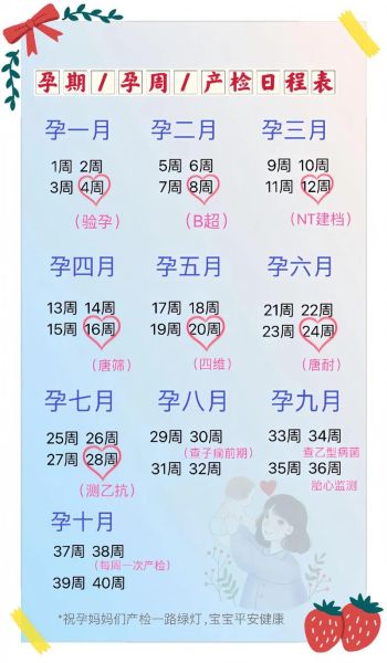 70周是几个月_70周等于多少天