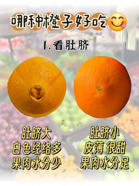 橙子怎么挑选_橙子有哪些品种