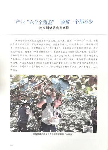 企业扶贫怎么做_企业扶贫成功案例