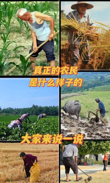 农民朴实无华的品质有哪些_农民朴实无华的品质有哪些