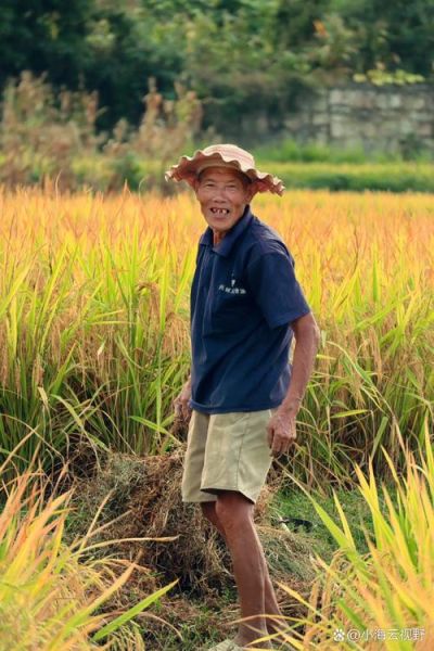 农民朴实无华的品质有哪些_农民朴实无华的品质有哪些