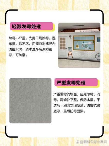 家里潮湿怎么办_墙面发霉怎么快速处理