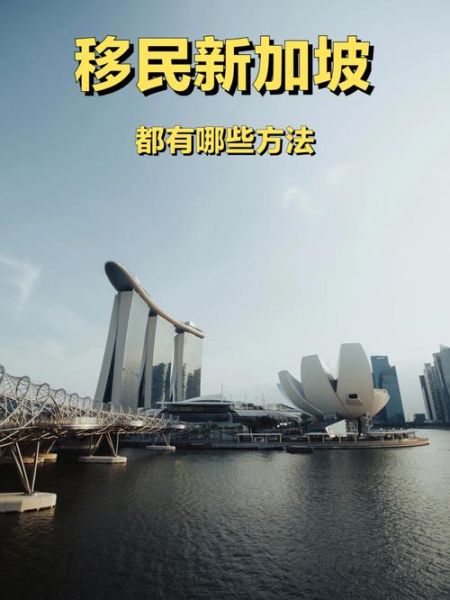 新加坡买房可以移民吗_新加坡买房移民政策2024