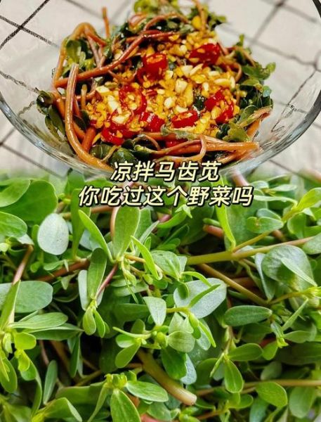 马齿苋怎么做好吃_凉拌马齿苋的做法
