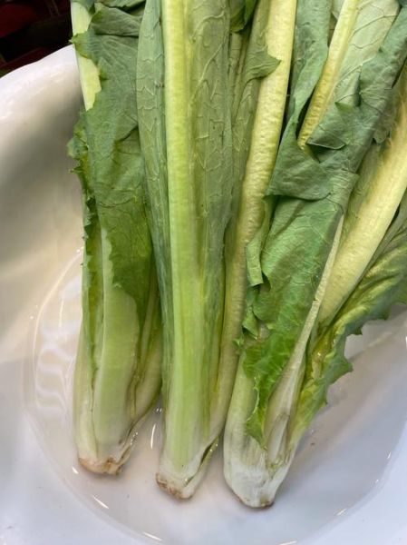 鲜菜怎么保存才新鲜_新鲜青菜有哪些特点