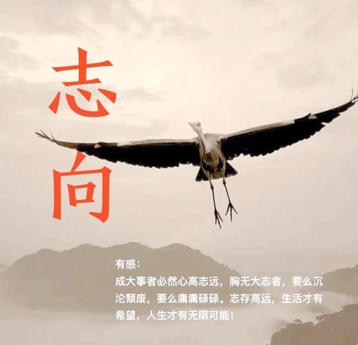 志向高远是什么意思_如何培养志向高远