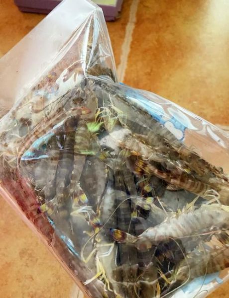 斑节虾怎么做好吃_斑节虾清蒸还是白灼