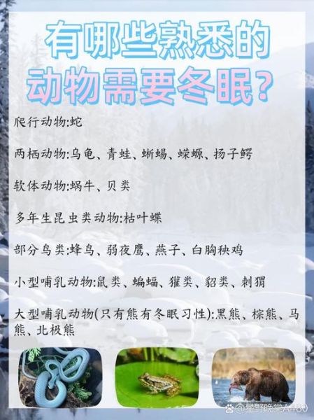 冬眠的动物有哪些_冬眠的原因和意义