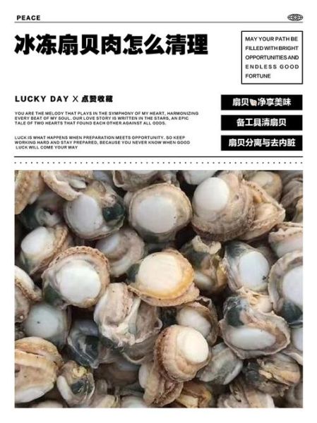 扇贝肉怎么做好吃_冷冻扇贝肉的做法大全