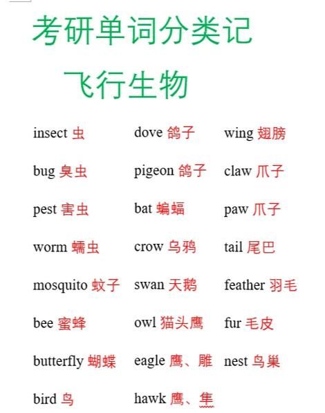 空中飞词语有哪些_空中飞词语怎么解释