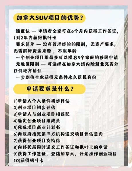 300万移民去哪好_如何办理手续