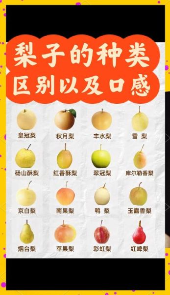 梨子的味道像什么_如何形容梨子的味道