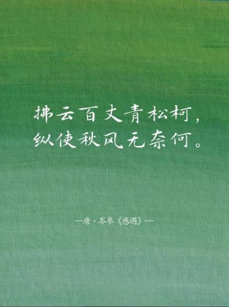 青松品质词语有哪些_青松象征什么精神