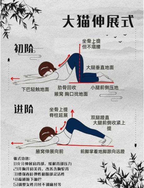 形体仪态训练方法_如何改善驼背