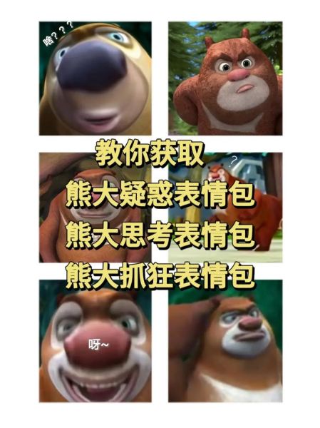 熊的神态词语有哪些_如何准确描写熊的表情