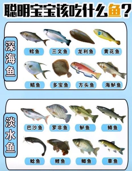 许多小鱼怎么养_许多小鱼吃什么