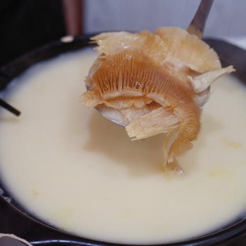 鱼翅最简单的做法_鱼翅怎么泡发才软