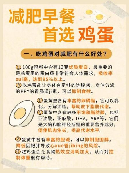 早餐吃什么健康又减肥_早上吃鸡蛋减肥吗