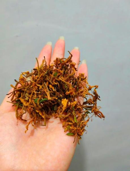 金银花怎么晒干_金银花晒干的正确方法