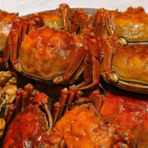 大闸蟹图片怎么拍_大闸蟹高清图哪里找