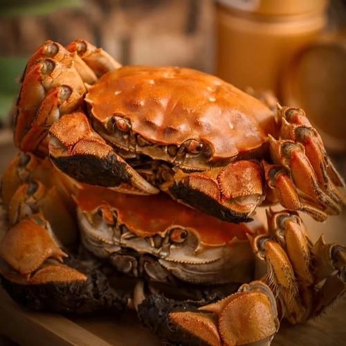 大闸蟹图片怎么拍_大闸蟹高清图哪里找