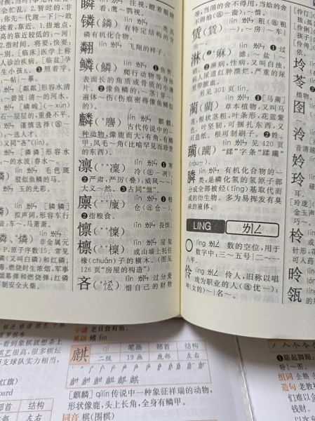 新华字典手机版怎么用_新华字典手机版收费吗