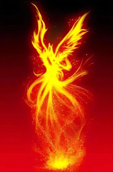 浴火重生是什么意思_浴火重生搭配词语有哪些