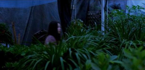 农村老话有哪些讲究_怎么用农村老话教育孩子