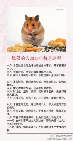 1984年属鼠2017年财运如何_84年属鼠2017年财运旺吗