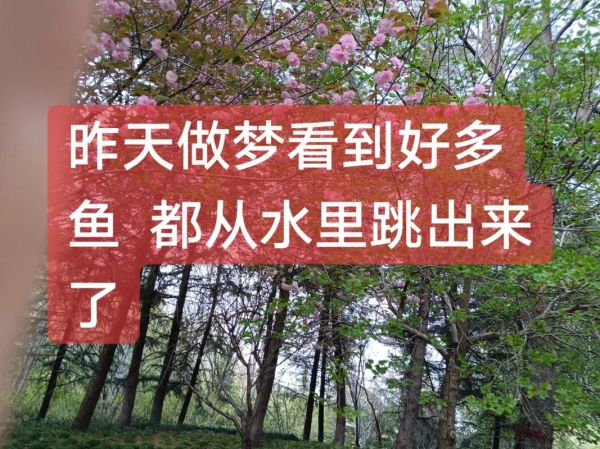梦到钓到大鱼是什么意思_如何破解梦中大鱼预兆