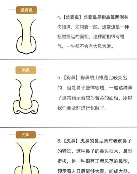鼻财运是真的吗_如何提升鼻子招财风水