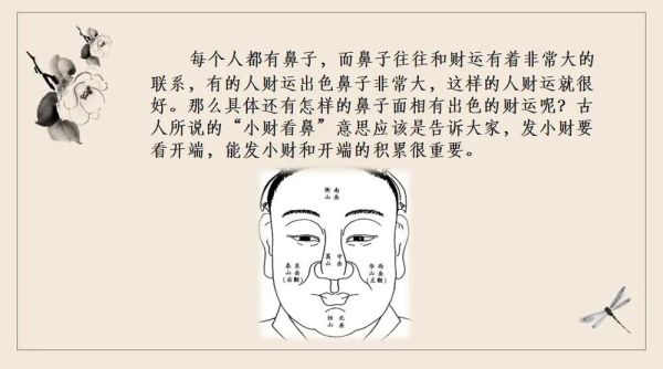鼻孔大代表财运吗_面相学可信吗