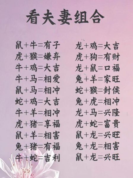 马年配偶属相最佳搭配_马和什么属相最配