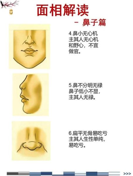 财运五官看哪里_面相鼻子耳朵哪个主财