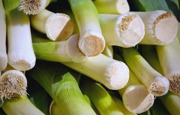 梦到葱是什么意思_梦见葱的吉凶预兆